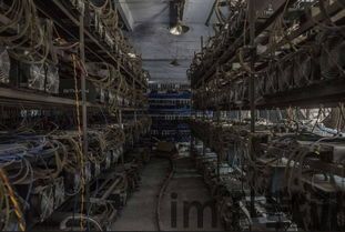 比特币比特币矿场,揭秘加密货币背后的“能源巨兽”(图3)