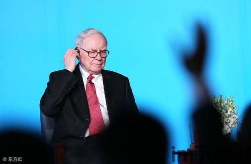 乐观主义者和比特币,比特币的未来展望(图6)