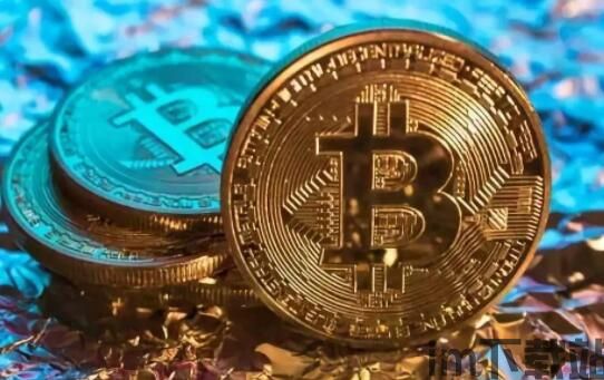 比特币欧币,数字货币的崛起与未来展望(图5) 比特币欧币,数字货币的崛起与未来展望(图5)
