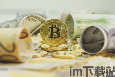 比特币联盟币,数字货币的新篇章(图2) 比特币联盟币,数字货币的新篇章(图2)
