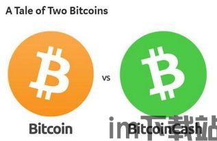 比特币sv和比特币区别,两大区块链项目的区别解析(图5) 比特币sv和比特币区别,两大区块链项目的区别解析(图5)