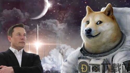 比特币和狗庄韭菜哪个好,哪个是投资良策?(图2) 比特币和狗庄韭菜哪个好,哪个是投资良策?(图2)