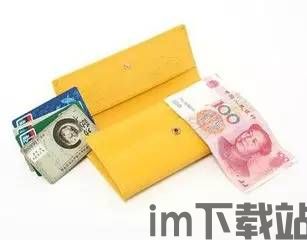 钱包里一万个USDT图,usdt是什么币在中国是犯法的吗(图2)