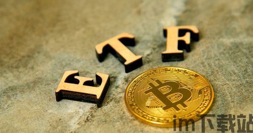 香港比特币和美国比特币,香港比特币与美国比特币的概述(图11) 香港比特币和美国比特币,香港比特币与美国比特币的概述(图11)