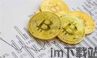 比特币各种币,比特币概述(图9) 比特币各种币,比特币概述(图9)