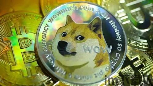 usdt币圈公认最安全的钱包,USDT币圈公认最安全的钱包——揭秘安全存储之道(图8)