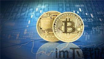比特币换美元,了解比特币与美元之间的转换过程(图10) 比特币换美元,了解比特币与美元之间的转换过程(图10)