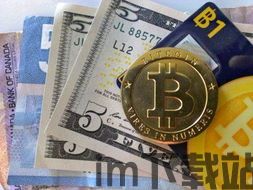 比特币换美元,了解比特币与美元之间的转换过程(图12) 比特币换美元,了解比特币与美元之间的转换过程(图12)