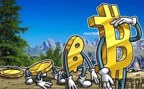 第一个矿工比特币拥有者,1比特币等于人民币(图3)