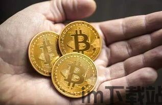币富比特币,揭秘数字货币的未来之星(图5) 币富比特币,揭秘数字货币的未来之星(图5)
