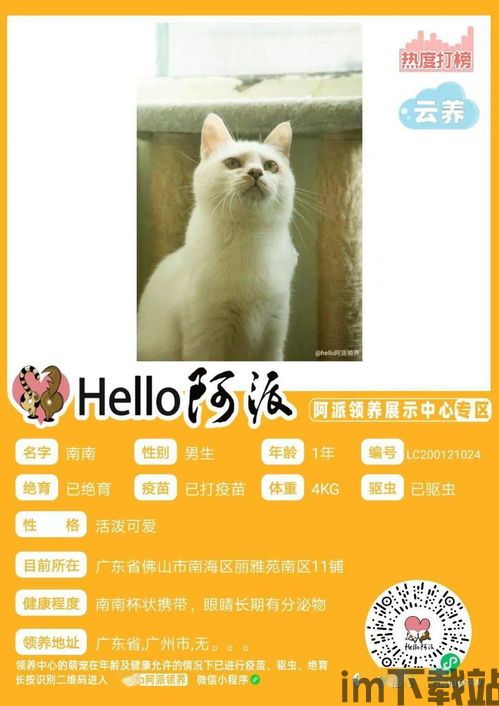 一签通安卓版(图2) 一签通安卓版(图2)