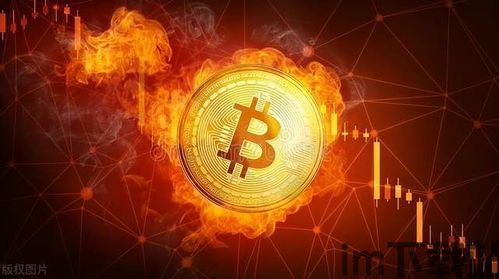 比特币离场,市场波动背后的资金流向分析(图8) 比特币离场,市场波动背后的资金流向分析(图8)