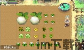 符文工坊4,特别版——探索幻想世界的经营模拟之旅(图4) 符文工坊4,特别版——探索幻想世界的经营模拟之旅(图4)