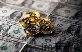 比特币对冲基金,市场波动中的稳健投资策略(图4)