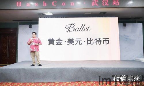 李启元比特币,比特币的先驱者与区块链技术的推动者(图1) 李启元比特币,比特币的先驱者与区块链技术的推动者(图1)