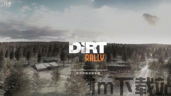 尘埃拉力赛安卓,速度与激情的移动体验(图2) 尘埃拉力赛安卓,速度与激情的移动体验(图2)