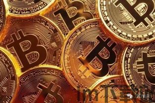 十年前比特币多少美元,回顾比特币的早期价格(图5) 十年前比特币多少美元,回顾比特币的早期价格(图5)