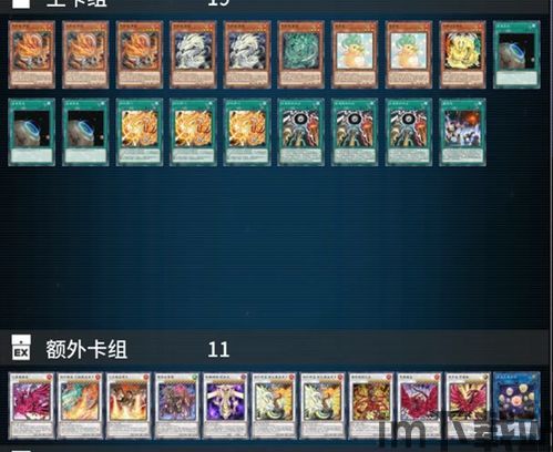 游戏王2023年12月新卡,游戏王2023年(图6) 游戏王2023年12月新卡,游戏王2023年(图6)