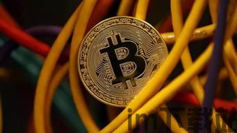 比特币死了,从革命性货币到市场泡沫的终结(图2) 比特币死了,从革命性货币到市场泡沫的终结(图2)
