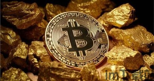 比特币分叉比特龙,比特币分叉新篇章——比特龙(Bitcoin Dragon)的崛起(图2) 比特币分叉比特龙,比特币分叉新篇章——比特龙(Bitcoin Dragon)的崛起(图2)