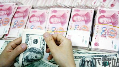 中国十大传销币比特市,比特市位列其中，投资者需警惕(图2)