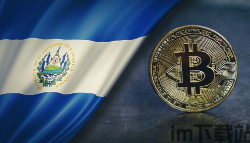 比特币兑比特C,加密货币市场的双雄对决(图3) 比特币兑比特C,加密货币市场的双雄对决(图3)