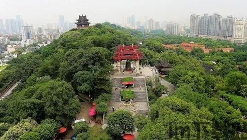 usdt不用实名钱包,便捷与安全的双重保障(图5) usdt不用实名钱包,便捷与安全的双重保障(图5)