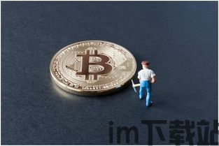 比特币价值及比特币分叉,比特币价值概述(图10) 比特币价值及比特币分叉,比特币价值概述(图10)