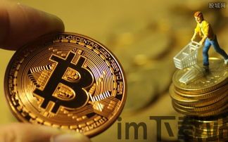 比特币价值及比特币分叉,比特币价值概述(图11) 比特币价值及比特币分叉,比特币价值概述(图11)