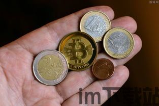 比特币的玩法,比特币的多元化玩法解析(图2) 比特币的玩法,比特币的多元化玩法解析(图2)