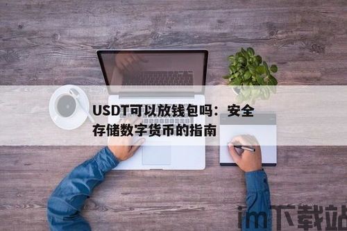 USDT放钱包安全,如何确保你的USDT资产安全(图2)