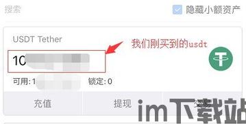 USDT 钱包怎么使用,什么是USDT钱包?(图7) USDT 钱包怎么使用,什么是USDT钱包?(图7)