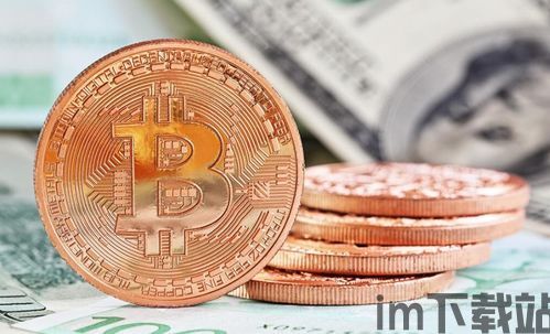 比特币特殊版价格表图片,独特设计背后的价值(图2)
