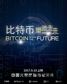 比特币纪录片第六集解析,揭秘比特币的全球影响与未来展望(图4) 比特币纪录片第六集解析,揭秘比特币的全球影响与未来展望(图4)