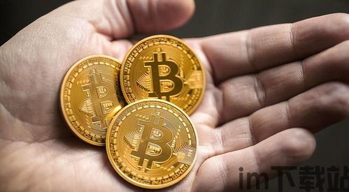 支持比特币,未来货币的曙光(图7) 支持比特币,未来货币的曙光(图7)