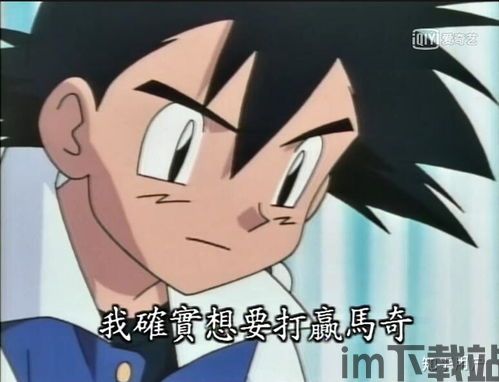 宝可梦xy租用,体验经典游戏的便捷之道(图4) 宝可梦xy租用,体验经典游戏的便捷之道(图4)