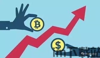 usdt和区块链钱包,什么是USDT？(图6)