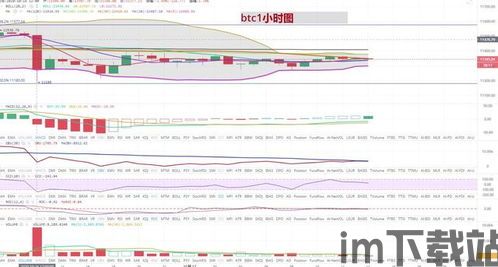 广西比特币价格行情分析,市场动态与未来展望(图3)