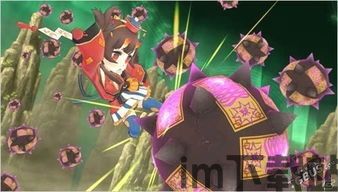 闪乱神乐tailor-made limited edition,限量版游戏周边的极致诱惑(图5) 闪乱神乐tailor-made limited edition,限量版游戏周边的极致诱惑(图5)