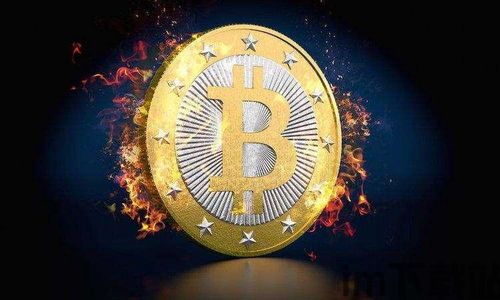 6666比特币,揭秘加密货币市场的神秘力量(图5) 6666比特币,揭秘加密货币市场的神秘力量(图5)
