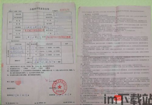 11月usdt钱包授权,正规usdt交易平台官网(图11) 11月usdt钱包授权,正规usdt交易平台官网(图11)