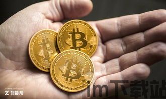 比特现金对比特币(图5) 比特现金对比特币(图5)
