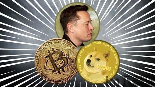 比特币屎币(图5) 比特币屎币(图5)