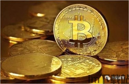 比特币2010年价格(图3)