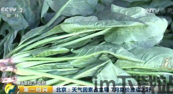 菠菜usdt钱包,安全便捷的数字货币存储与交易工具(图5)