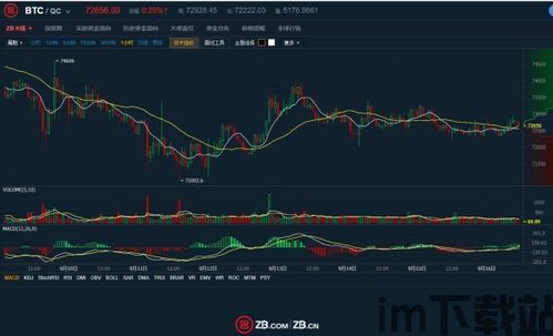 比特币17年了走势图片,比特币十年走势一览表最新(图7) 比特币17年了走势图片,比特币十年走势一览表最新(图7)