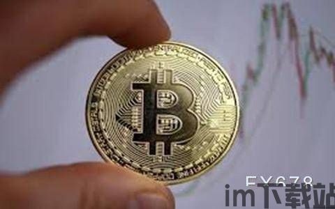 比特币一天能亏多钱(图2)