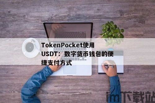 支付usdt的钱包,功能、使用方法及注意事项(图5)