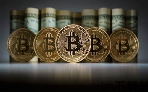 比特币多少人有比特币,全球比特币持有者数量分析(图1)