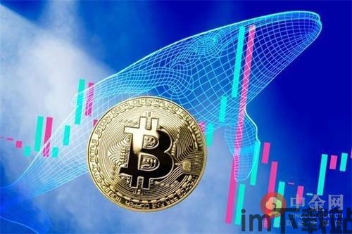 比特派买比特币,安全便捷的比特币购买平台(图10) 比特派买比特币,安全便捷的比特币购买平台(图10)